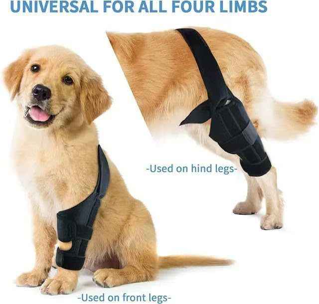 Dog Leg Injury Assistance Support Bar Rehabilitation Training Belt