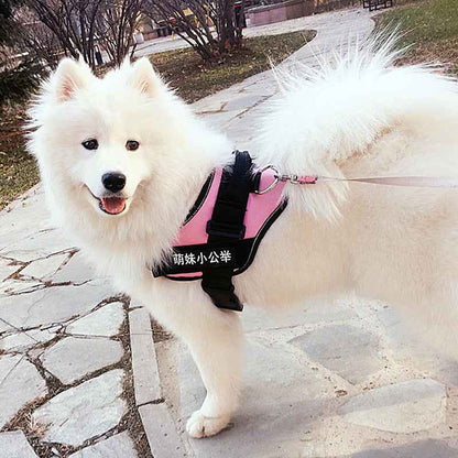 Pet Chest Harness Dog Traction Rope