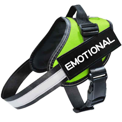 Reflective Dog Leash, Harness