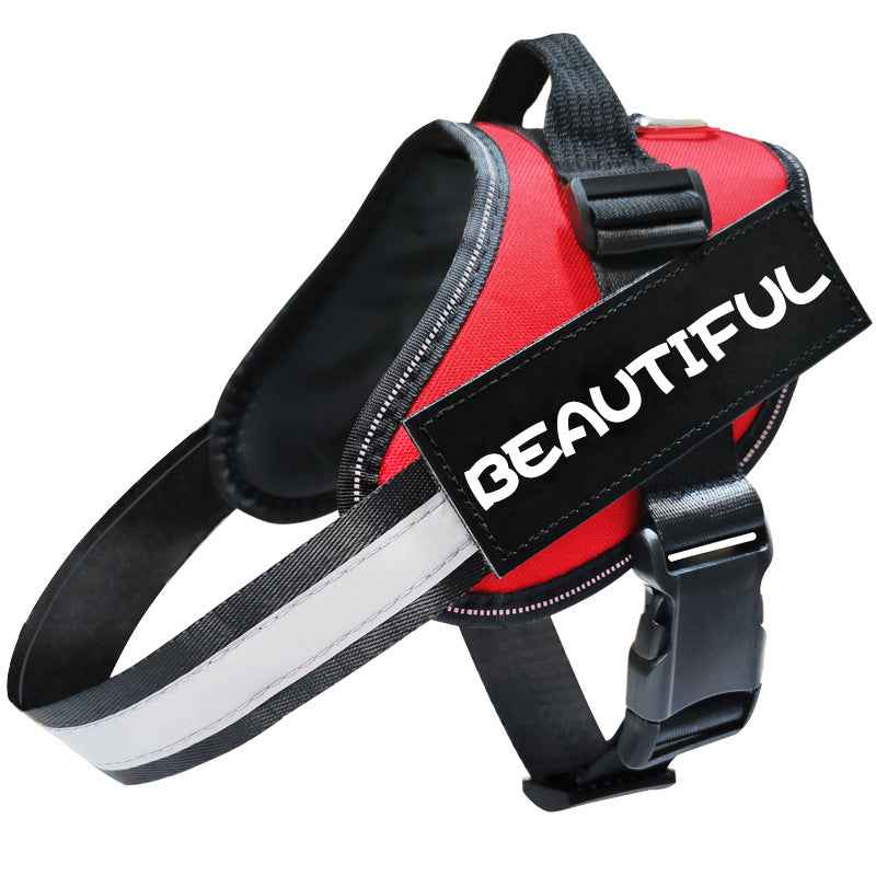 Reflective Dog Leash, Harness
