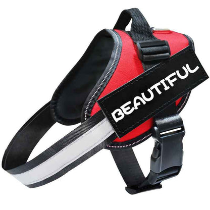 Reflective Dog Leash, Harness