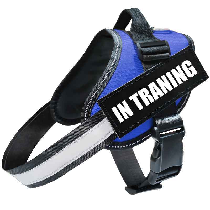 Reflective Dog Leash, Harness
