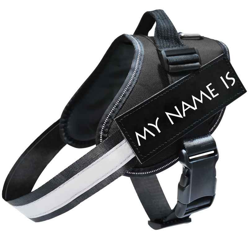 Reflective Dog Leash, Harness