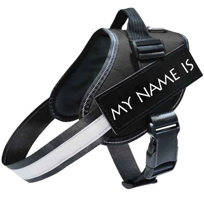 Reflective Dog Leash, Harness