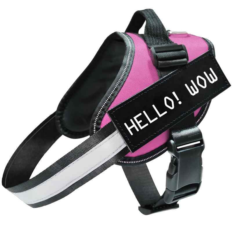 Reflective Dog Leash, Harness