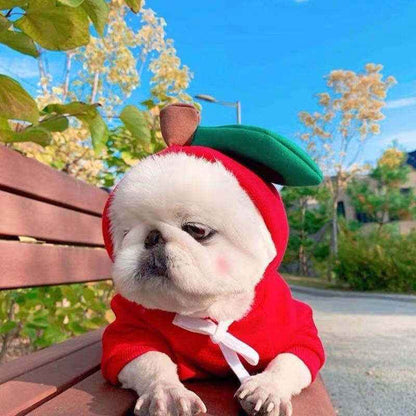Cute  Dog Clothes For Small Dogs