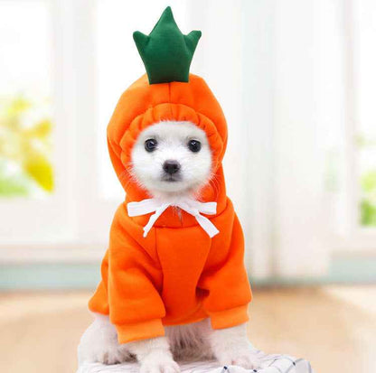 Cute  Dog Clothes For Small Dogs