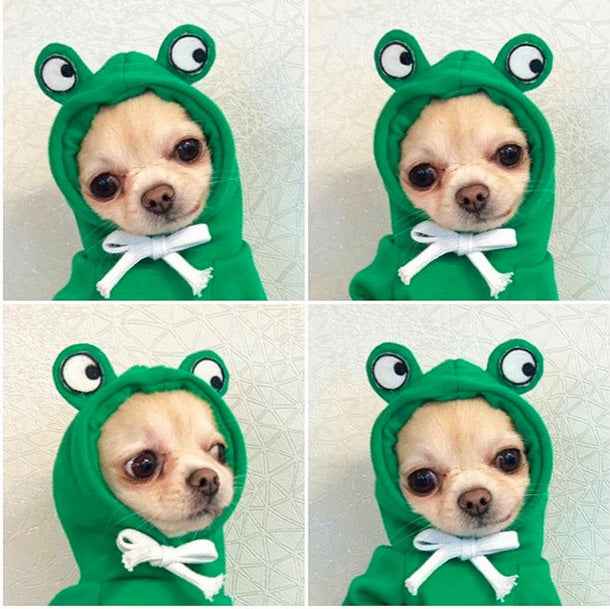Cute  Dog Clothes For Small Dogs