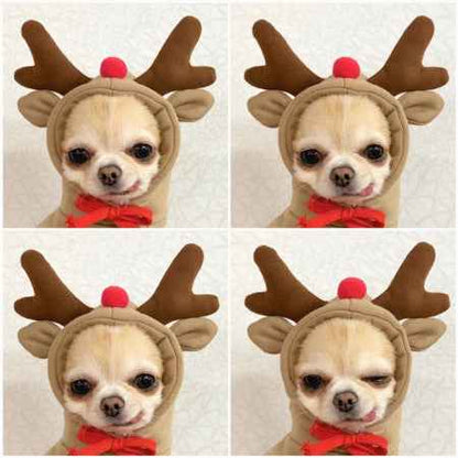 Cute  Dog Clothes For Small Dogs
