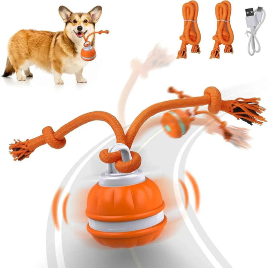 Interactive Pet  Motion Ball For Dogs