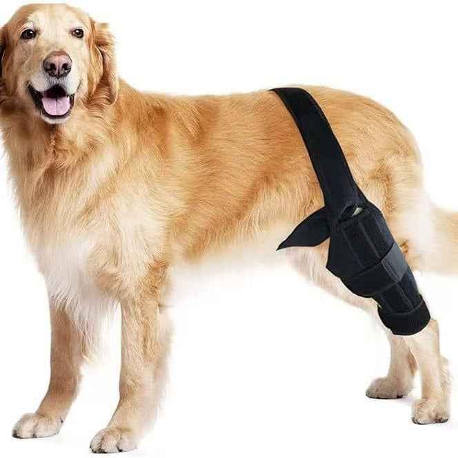 Dog Leg Injury Assistance Support Bar Rehabilitation Training Belt