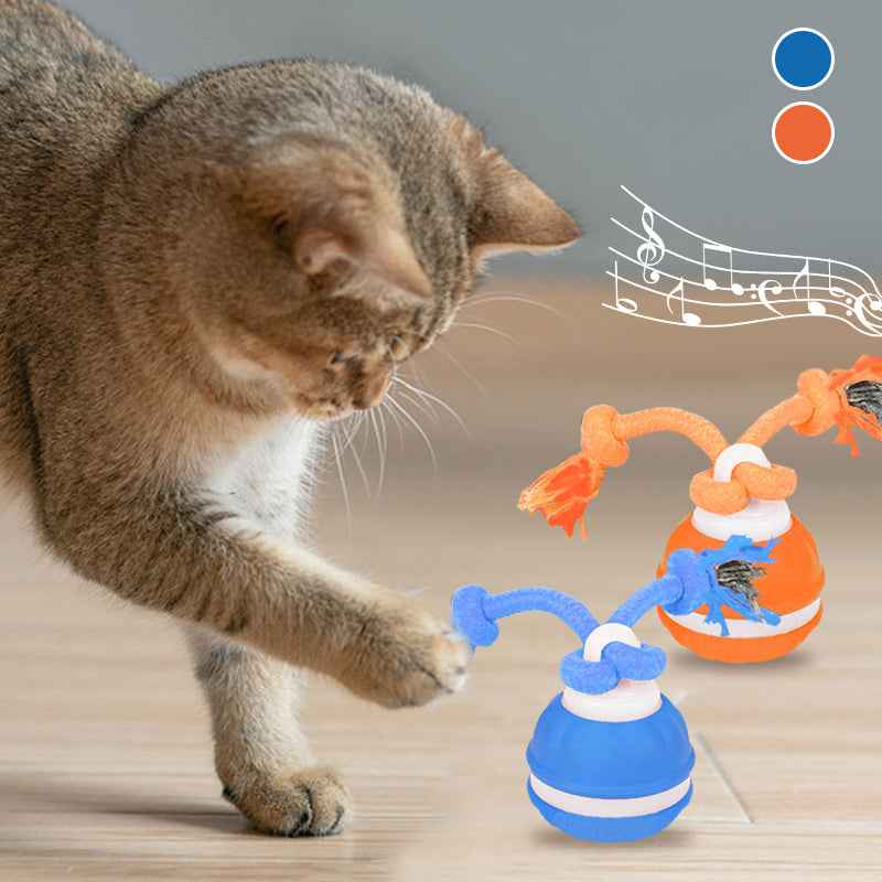 Interactive Pet  Motion Ball For Dogs