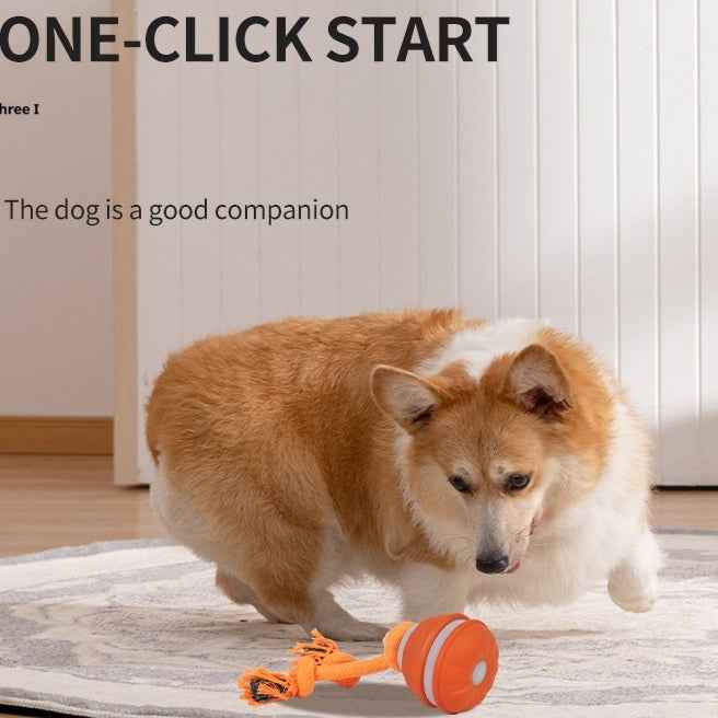 Interactive Pet  Motion Ball For Dogs