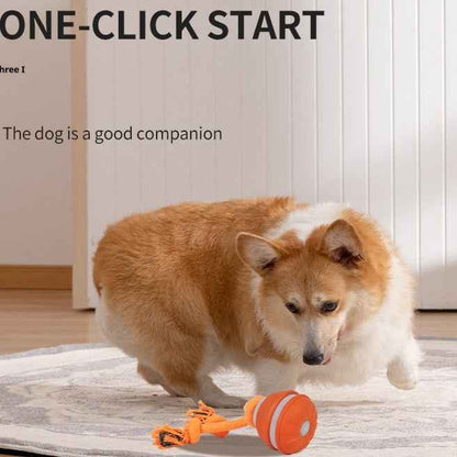 Interactive Pet  Motion Ball For Dogs