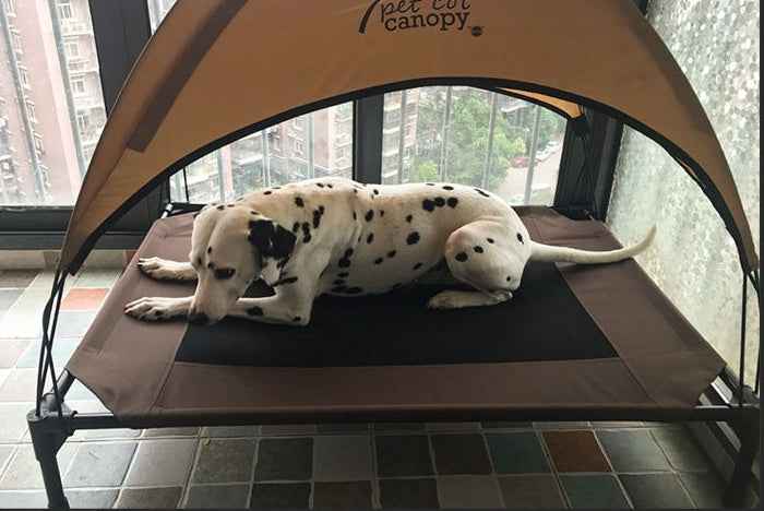 Moisture-proof, removable, washable, stack Pet/Dog bed