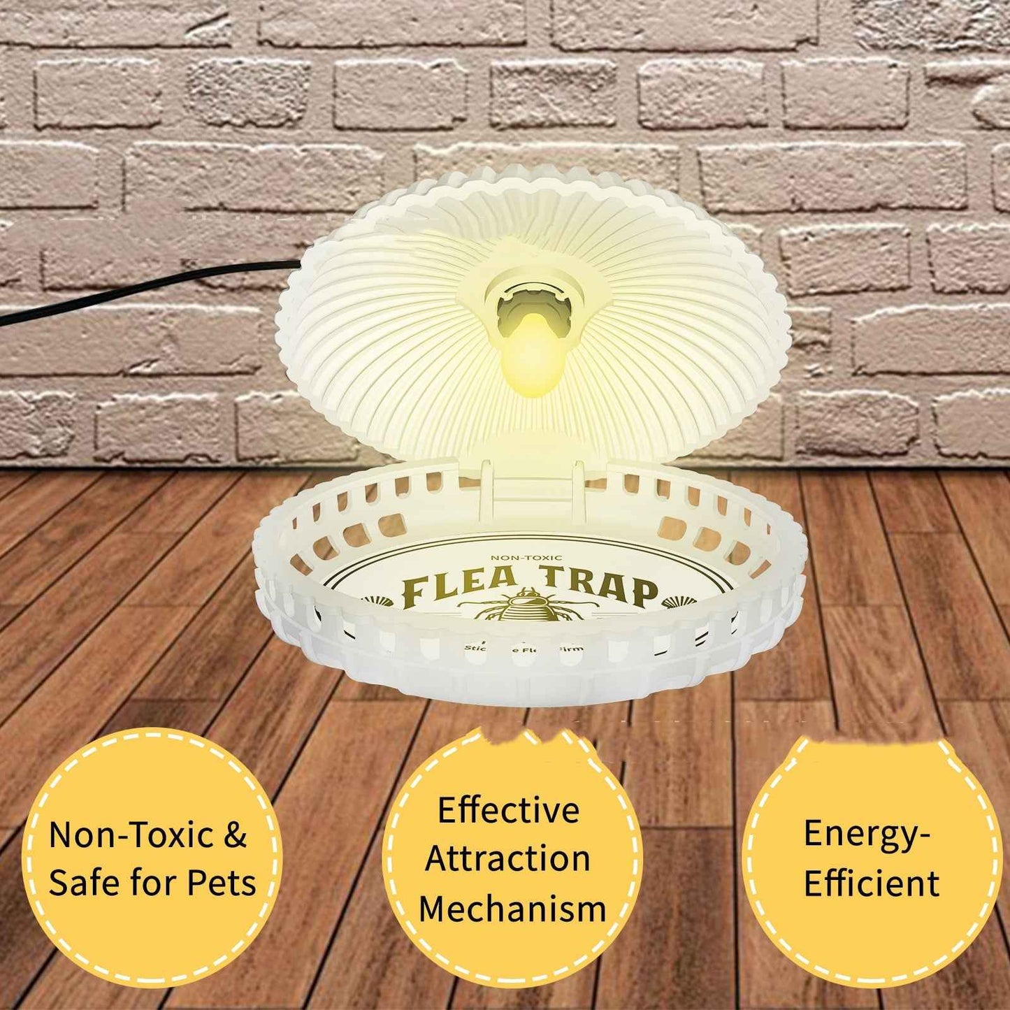 Pet Flea Trap Lamp | Shell Shape Indoor Flea Killer (2-Pack)