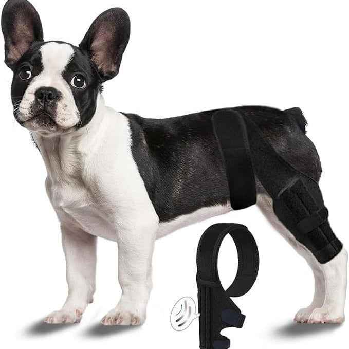 Dog Leg Injury Assistance Support Bar Rehabilitation Training Belt
