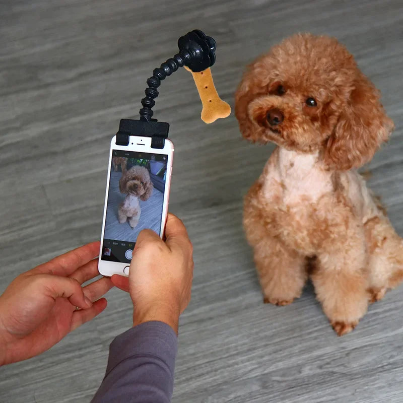 Mobile Phone Camera Holder Selfie Clip Pet Photography Tool Dog And Viewing Lens