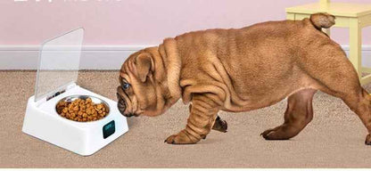 Pet 5G Bowl Automatic Feeder