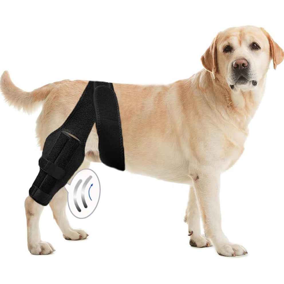 Dog Leg Injury Assistance Support Bar Rehabilitation Training Belt