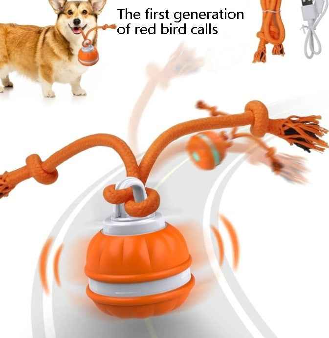 Interactive Pet  Motion Ball For Dogs