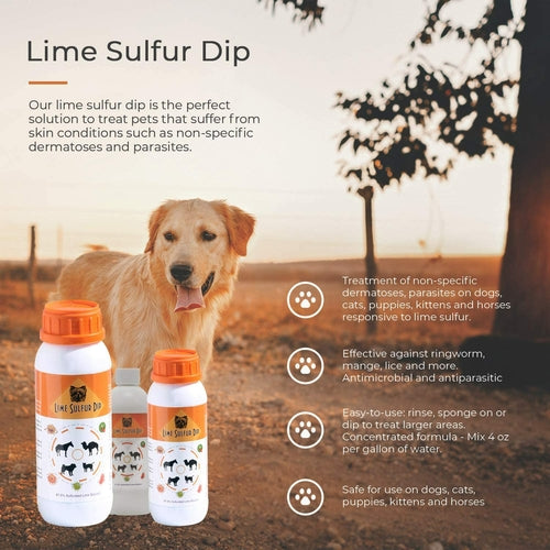Classic's Lime Sulfur Dip Safe Solution for Dog Cat Horse Pet