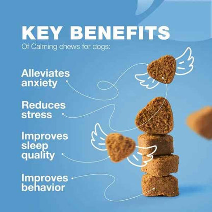 Hemp Calming Chews For Dogs Dog Calming Treats Anxiety Relief For Dogs