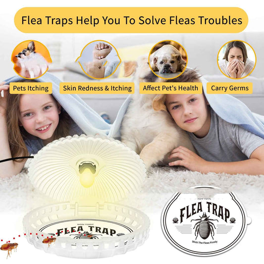 Pet Flea Trap Lamp | Shell Shape Indoor Flea Killer (2-Pack)