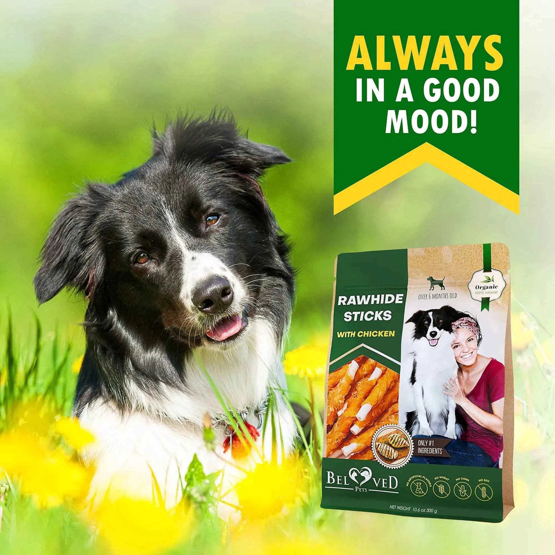 Chicken Wrapped Grain Free All Natural Dog Snack Sticks