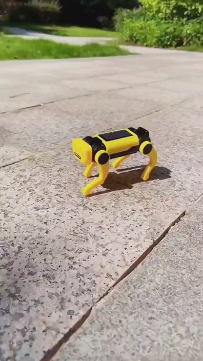 Teaching Institutions Solar Dog Electric Robot