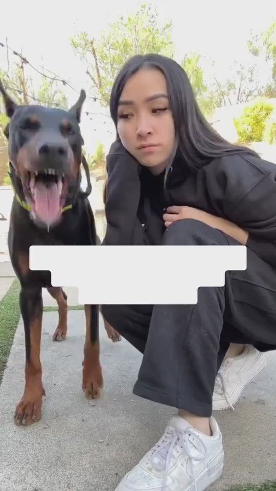 1.mp4