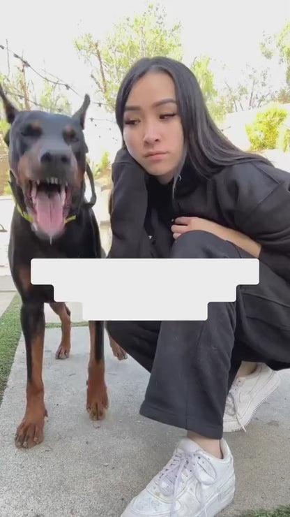 1.mp4