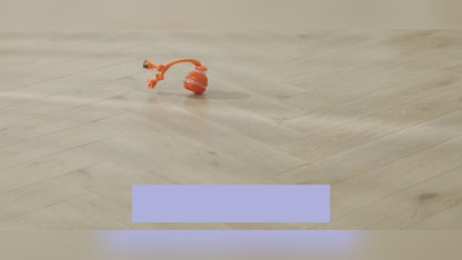 Interactive Pet  Motion Ball For Dogs
