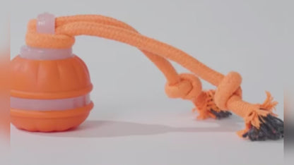 Interactive Pet  Motion Ball For Dogs